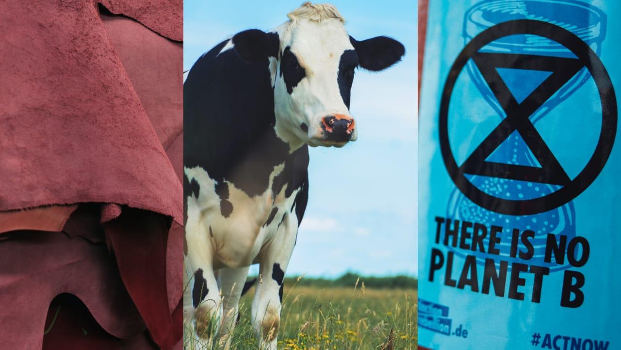 Travel Cruelty Free – Faux Leather is the Way to Go - Travelsleek