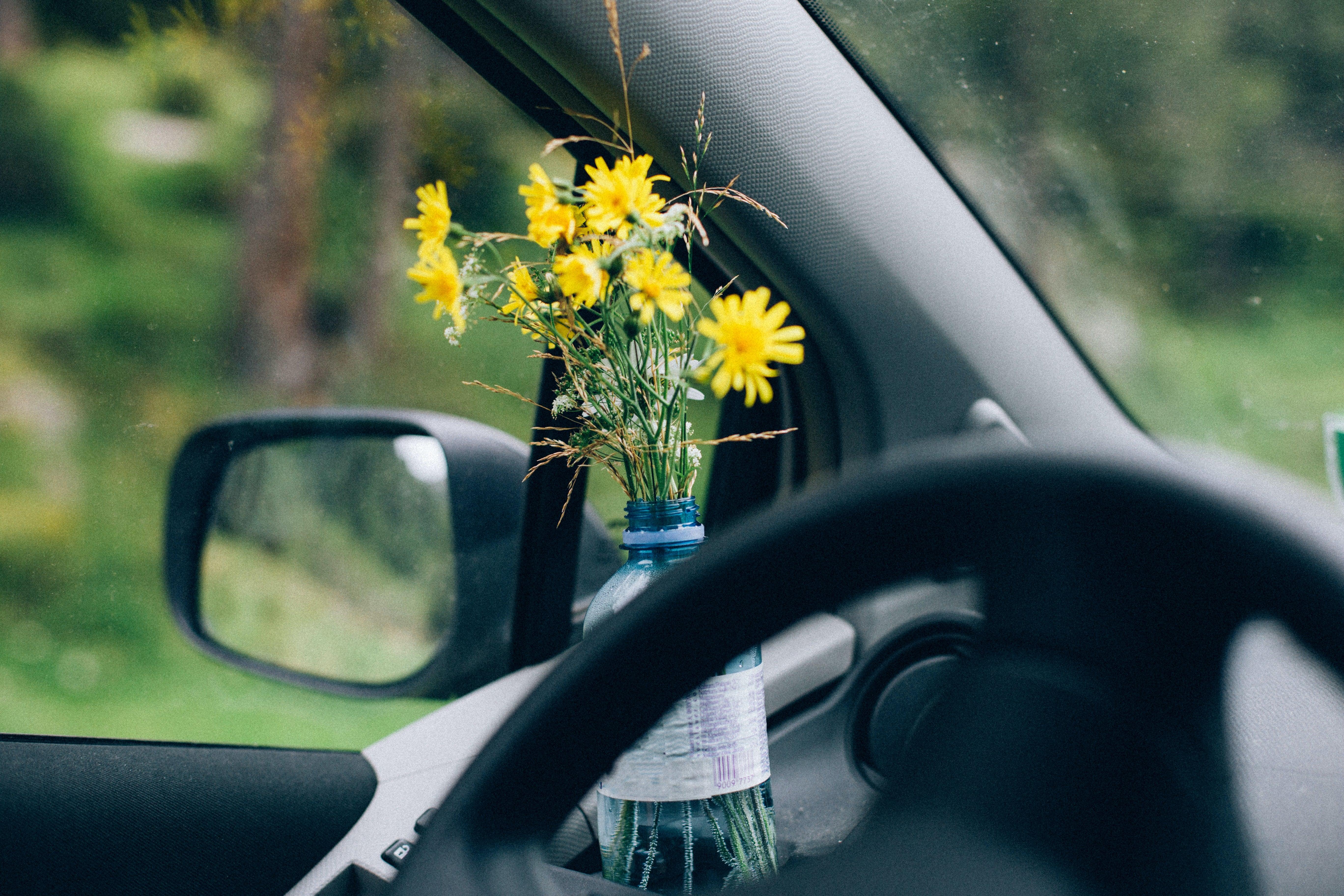 What Not To Do While Travelling: Get Eco-Friendly! - Travelsleek